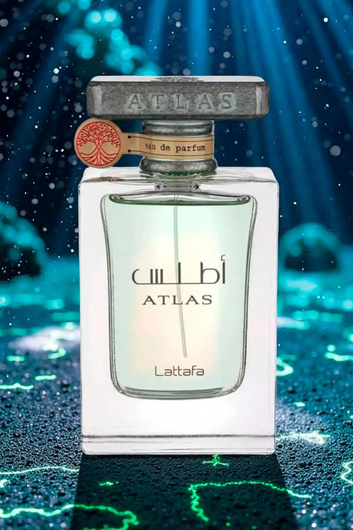 Guía para Reyes Magos rezagados: recomendaciones para regalos de última hora en el comercio de Cádiz