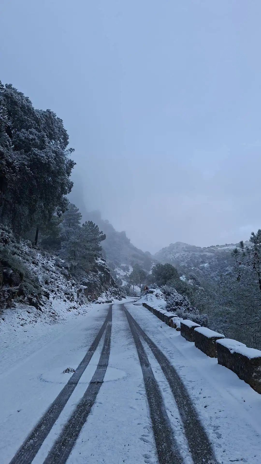 Carretera nevada en la Sierra de Cádiz. Foto: Canal Sierra de Cádiz.