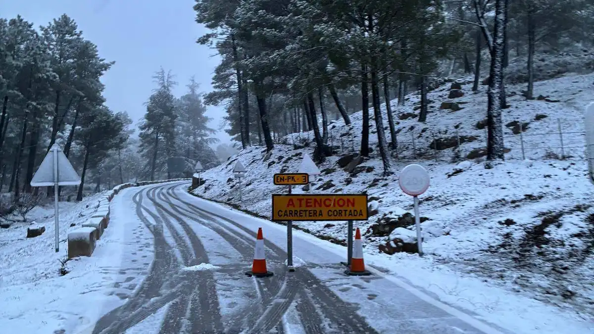 Una de las dos carreteras cortadas en la Sierra de Cádiz por la nieve. Foto: Canal Sierra de Cádiz.
