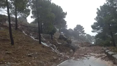 Desprendimiento de tierra, rocas y árboles en la carretera del Puerto de Las Palomas (CA-9104), en la Sierra de Cádiz, tras las intensas lluvias de la borrasca Kristin. La vía permanece cortada al tráfico por motivos de seguridad.