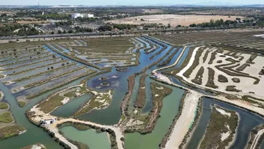 Vista de la Salina de Belén en Puerto Real dentro del Parque Natural Bahía de Cádiz.