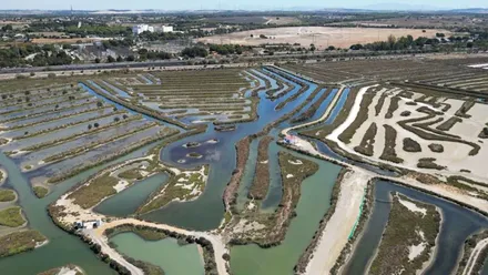 Vista de la Salina de Belén en Puerto Real dentro del Parque Natural Bahía de Cádiz.