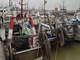 Los pescadores de Cádiz estallan tras la visita del Congreso: “No han escuchado al sector”