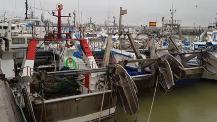 Barcos amarrados en el puerto en un día nublado.