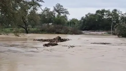 Crecida del río Guadalete.