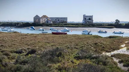 Vista de la isla de Trocadero con embarcaciones.