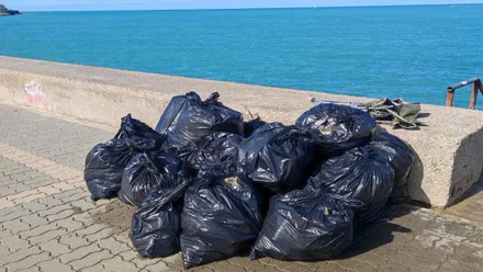 Bolsas negras de basura retirada de la Punta de San Felipe, al fondo se ve el mar.