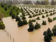 Casi 3.000 incidencias en Andalucía por el temporal: viento, desalojos y carreteras cortadas