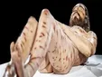 La escultura hiperrealista de Cristo que impacta al mundo se exhibirá en Cádiz