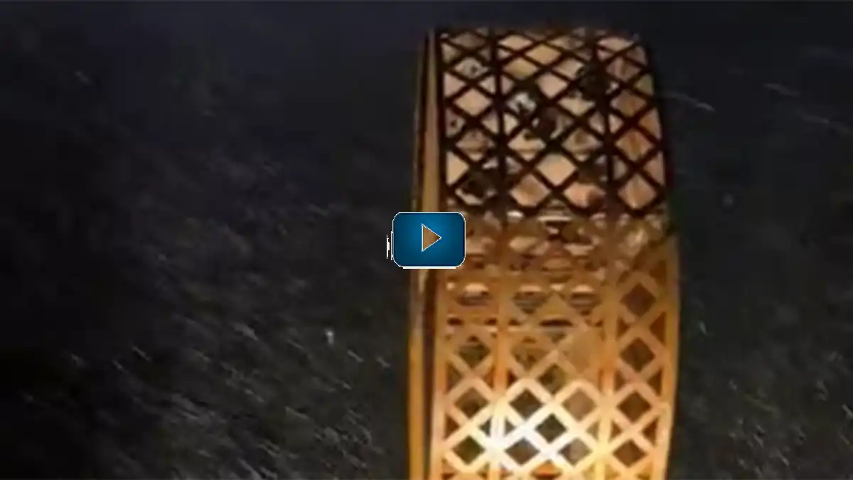 Espectaculares fotos y vídeos de la nevada en la Sierra de Cádiz