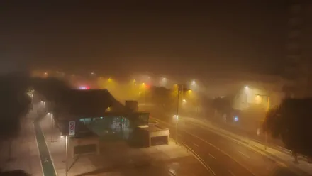 Imagen tomada de madrugada día en la avenida de la Sanidad Pública de Cádiz. La niebla reduce notablemente la visibilidad y envuelve la estación de tren de Segunda Aguada, con farolas encendidas y tráfico escaso, reflejando un ambiente húmedo típico de una mañana invernal.