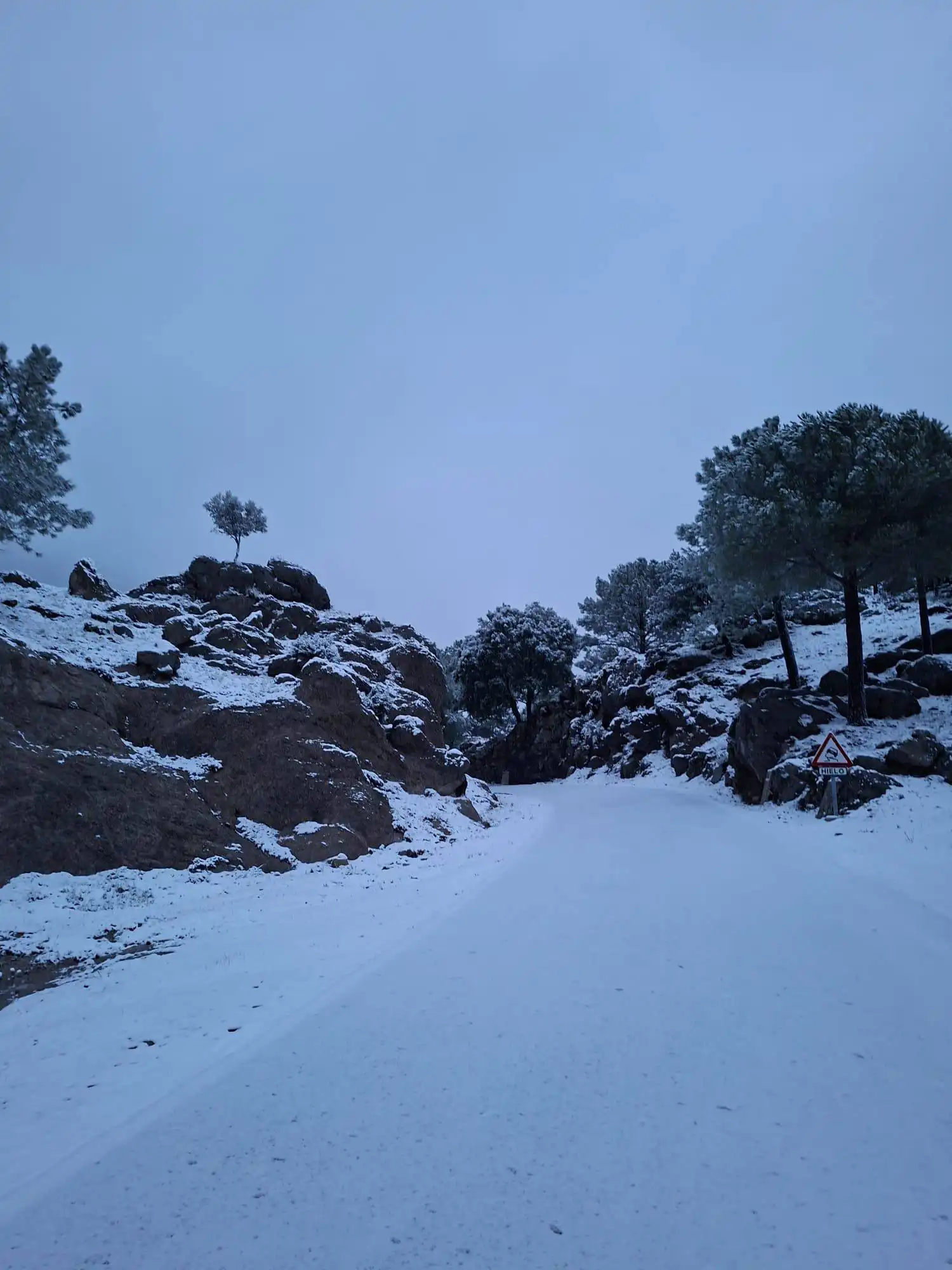 La nieve ha cuajado en las cotas altas de la Sierra de Grazalema. Foto: Canal Sierra de Cádiz.