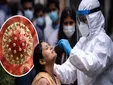 El virus Nipah vuelve a poner en alerta a la OMS, cinco casos confirmados y temor a un nuevo brote global