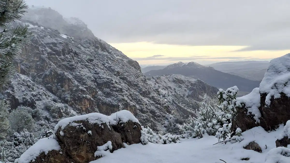 Idílica imagen de una panorámica de la Sierra de Cádiz a primeras horas de este 24 de enero. Foto: Canal Sierra de Cádiz.