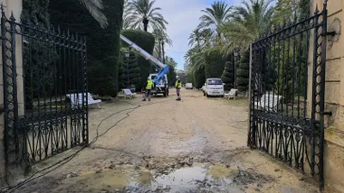 Trabajos de arreglo y retirada de ramas en el Parque Genovés durante la jornada del lunes, en previsión del episodio de viento y lluvia asociado a la borrasca Joseph. Foto: José Luis Porquicho Prada.