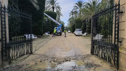 Trabajos de arreglo y retirada de ramas en el Parque Genovés durante la jornada del lunes, en previsión del episodio de viento y lluvia asociado a la borrasca Joseph. Foto: José Luis Porquicho Prada.