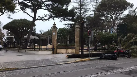 Una de las puertas del parque Genovés cerradas con uno los árboles que han caído en la zona. Foto: José Luis Porquicho Prada