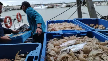Cajas de pescado, sobre todo marisco, y un pescador tirando de una caja.