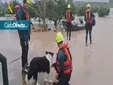Familias evacuadas y rescates espectaculares, al límite, en Jerez por la crecida del Guadalete
