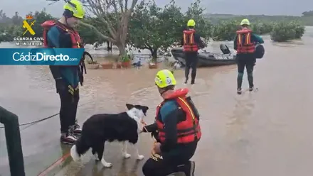 La Guardia Civil ha rescatado a personas y mascotas en Las Pachecas. Foto: Guardia Civil.