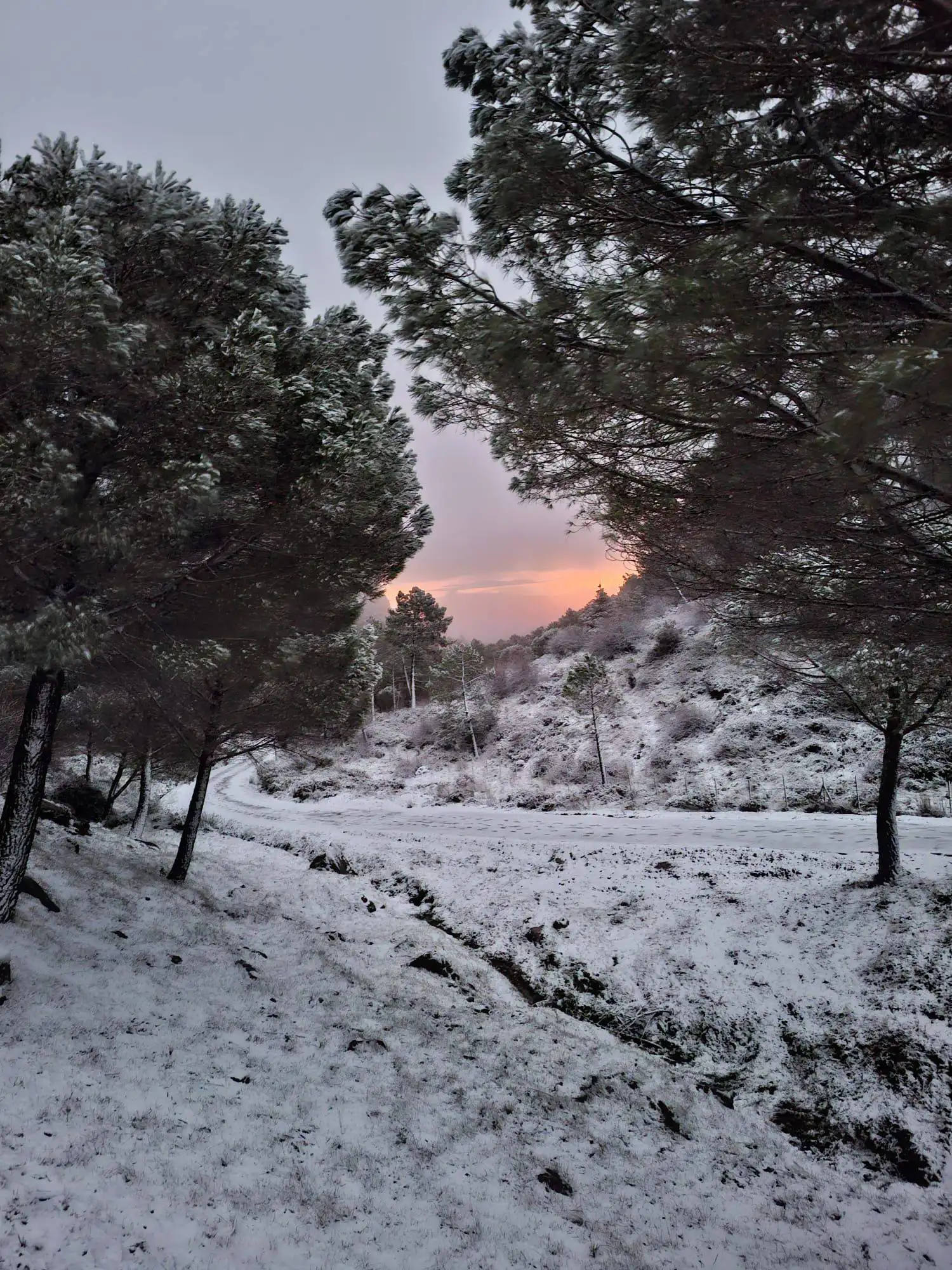 Foto de postal de la Sierra nevada. Foto: Canal Sierra de Cádiz.
