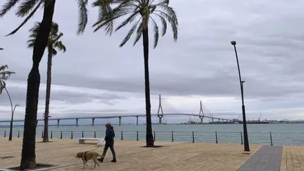 Un hombre pasea a su perro este 1 de enero con el Segundo Puente de Cádiz al fondo. Foto: José Luis Porquicho Prada.