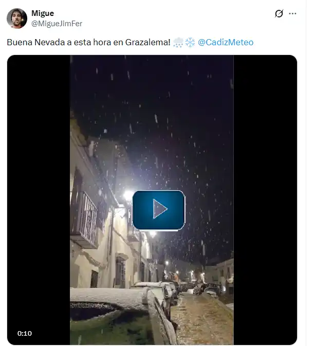 Espectaculares fotos y vídeos de la nevada en la Sierra de Cádiz