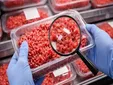 Alerta sanitaria en España de AESAN al detectar fragmentos de plástico en carne picada de supermercado