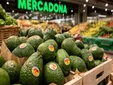 El 95% de los aguacates que venderá Mercadona cultivados en España, el motivo real detrás del anuncio