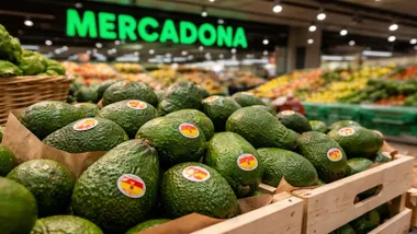 Cajón con aguacates en Mercadona con el letrero en el típico color verde.