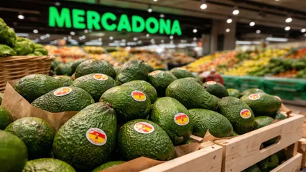 Cajón con aguacates en Mercadona con el letrero en el típico color verde.