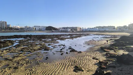 Espectacular bajamar en la playa de la Caleta en esta mañana soleada y fría del jueves 19 de febrero. Foto: José Luis Porquicho Prada.