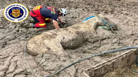 Bombero junto al caballo atrapado en el barro.