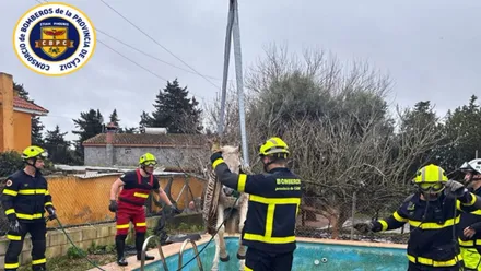 Bomberos rescatando al caballo con una grúa.