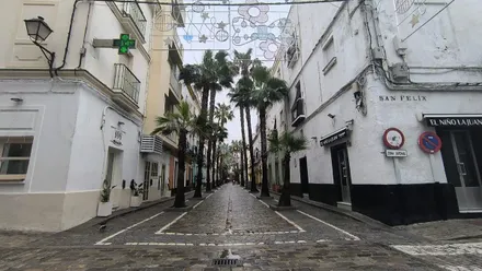 Calle de la Palma prácticamente desierta con el alumbrado de Carnaval ya instalado a primeras horas de la mañana de este 10 de febrero. Foto: José Luis Porquicho Prada.
