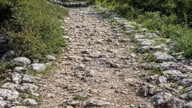 Piedras delimitando la calzada romana de Ubrique y Benaocaz, muy árida y entre arbustos.