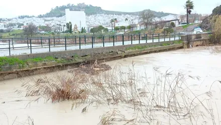 la borrasca Leonardo ha tenido gran incluencia en las carreteras de la provincia de Cádiz. Foto: Junta de Andalucía.