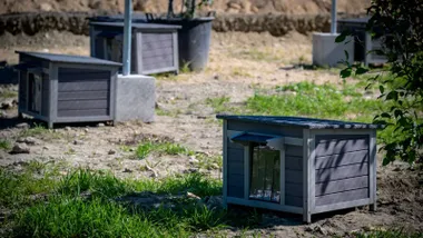 Casetas para traslados de Gatos del Cementerio de San José