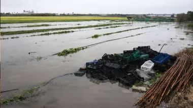 Campo de cultivo totalmente anegado en Jerez.