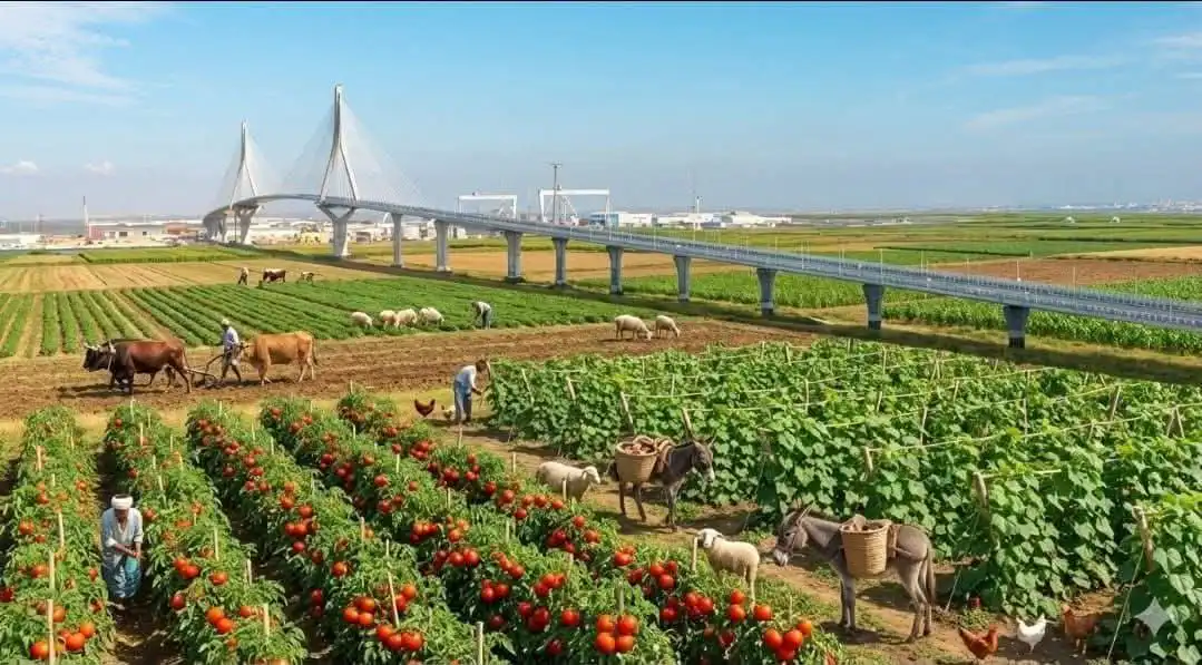 Tenía que pasar y pasó: el patazo de Sonsoles Ónega ya se lleva coplas en el COAC