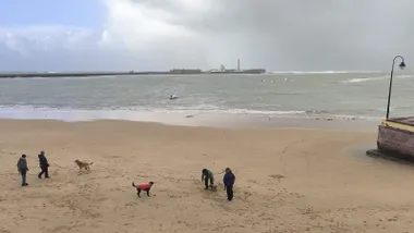 Nubes entrando por la caleta con mascotas paseando en la arena con sus dueñas