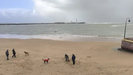 Nubes entrando por la caleta con mascotas paseando en la arena con sus dueñas