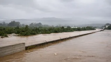 Vista de una calle y un campo inundado en San Martín del Tesorillo.