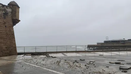 Parte del suelo de la plaza Ateneo de Cádiz se ha levantado a consecuencia de os efectos de la borrasca Leonardo. Foto: Eulogio García.