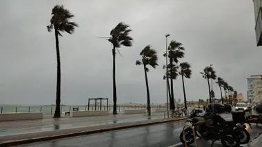 Un nuevo frente ha devuelto e temporal de viento y lluvias a Cádiz, como se aprecia en esta imagen de las palmeras en el paseo Marítimo de la capital. Foto: José Luis Porquicho Prada.
