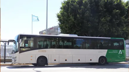 Autobús de línea en blanco y verde en la Bahía.
