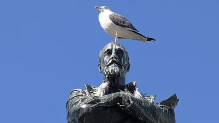 El Monumento a Moret en Cádiz, una escultura de bronce ubicada en la plaza de San Juan de Dios, aparece con una gaviota posada sobre su cabeza, reflejando la presencia constante de aves que deterioran la obra y la necesidad de medidas de conservación.