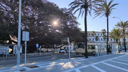 El sol se cuela entre las hojas del árbol del Mora mientras varias personas suben al autobús detenido en la parada de La Caleta con el edificio de Valcárcel al fondo