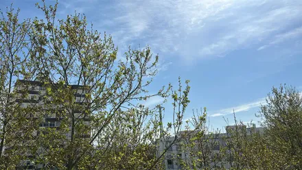 Cielos despejados en Cádiz este primer domingo de primavera