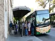 Indignación en Cádiz por el transporte en Semana Santa: retrasos, pocos refuerzos y maltrato a la línea 3